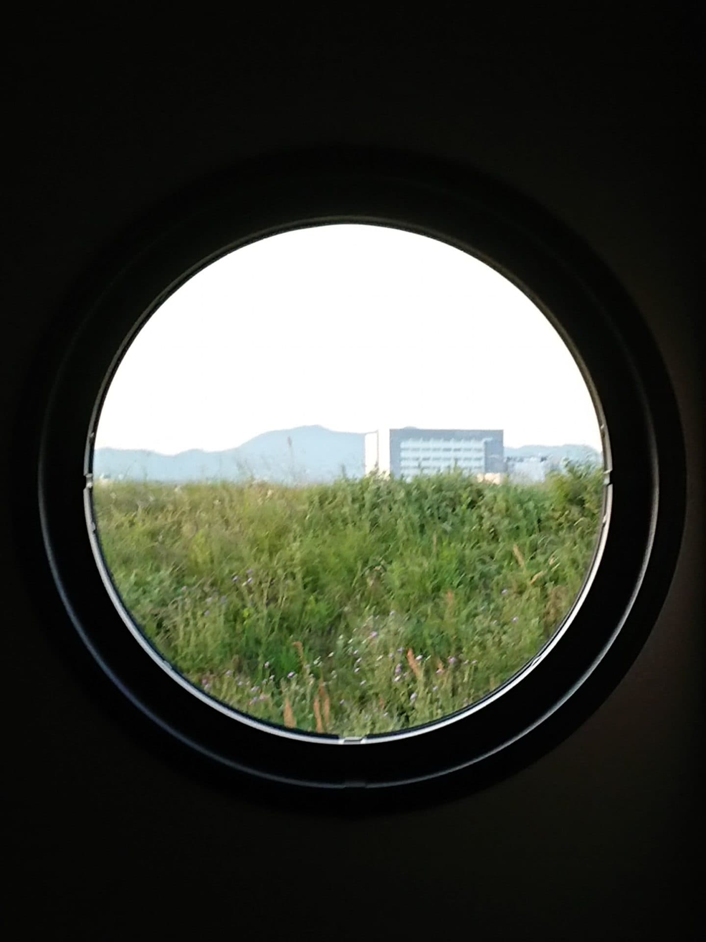 ピクチャーウィンドウ