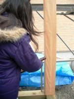 徳島県で家を建てるならサーロジック