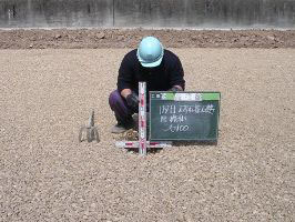 徳島県で家を建てるならサーロジック