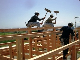 徳島県で家を建てるならサーロジック-上棟