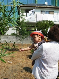 徳島県で家を建てるならサーロジック