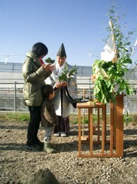 徳島県で家を建てるならサーロジック