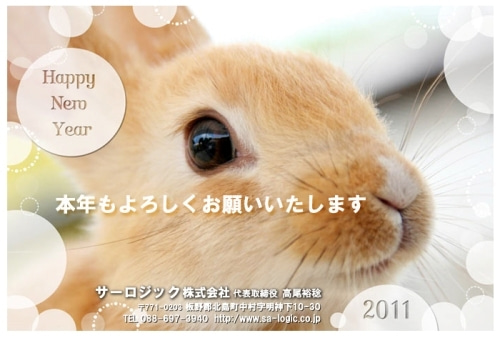 徳島県で家を建てるならサーロジック-かわいいうさぎ