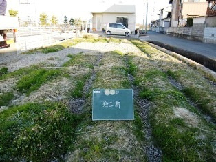 徳島県で家を建てるならサーロジック