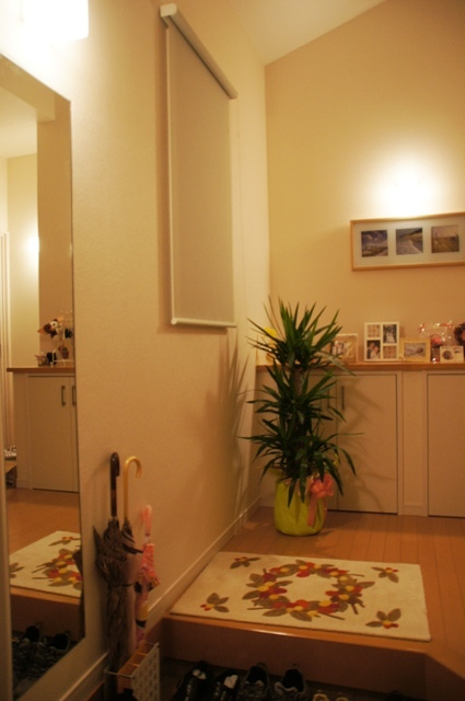 徳島県で家を建てるならサーロジック-玄関ホール