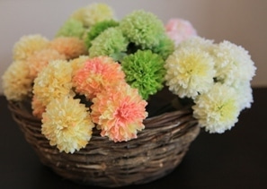 徳島県で家を建てるならサーロジック-玄関