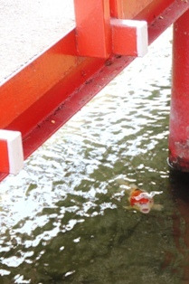 徳島県で家を建てるならサーロジック