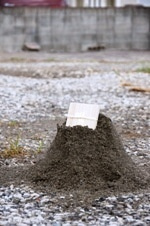 徳島県で家を建てるならサーロジック