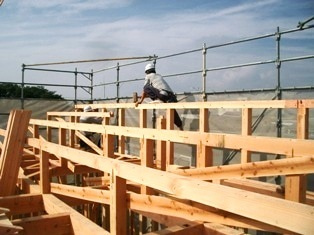 徳島県で家を建てるならサーロジック-棟上げ