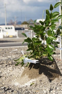徳島県で家を建てるならサーロジック-地鎮祭