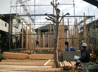 徳島県で家を建てるならサーロジック-建て方