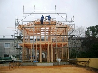 徳島県で家を建てるならサーロジック-棟上げ