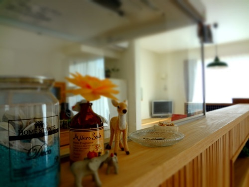 徳島県で家を建てるならサーロジック-レトロインテリア