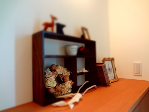 徳島県で家を建てるならサーロジック-玄関ディスプレイ