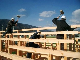 徳島県で家を建てるならサーロジック-棟上げ