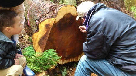 自分の山の木で家を建てる