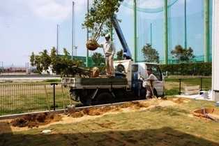 徳島県で家を建てるならサーロジック-芝生植え