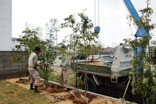 徳島県で家を建てるならサーロジック-植樹工事