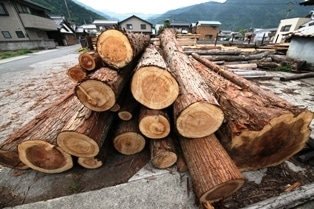 徳島県で家を建てるならサーロジック-自分の山の木