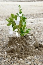 徳島県で家を建てるならサーロジック