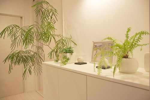 徳島県で家を建てるならサーロジック-お宅訪問