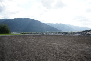 徳島県で家を建てるならサーロジック