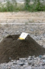 徳島県で家を建てるならサーロジック