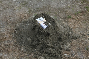 徳島県で家を建てるならサーロジック