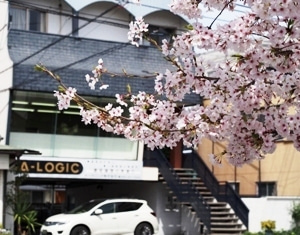 徳島県で家を建てるならサーロジック-桜