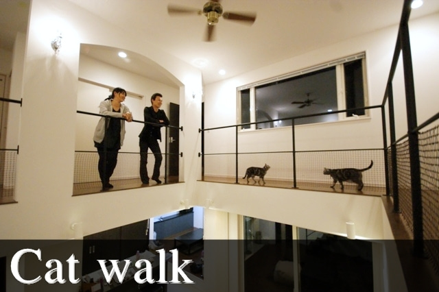 徳島県で家を建てるならサーロジック-キャットウォーク