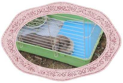 徳島県で家を建てるならサーロジック