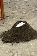 徳島県で家を建てるならサーロジック