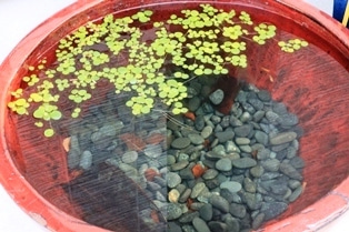 徳島県で家を建てるならサーロジック