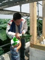 徳島県で家を建てるならサーロジック