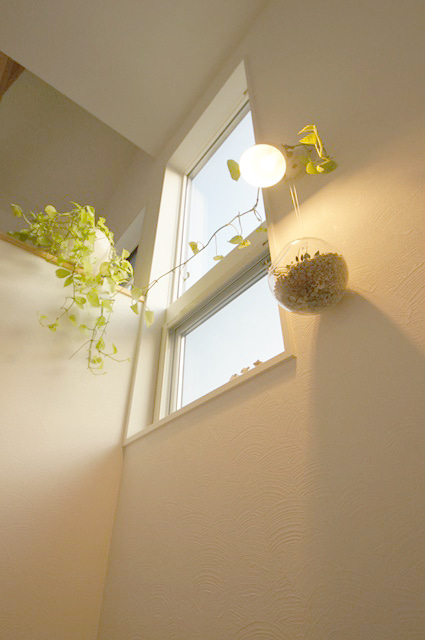 空気きれいにする観葉植物